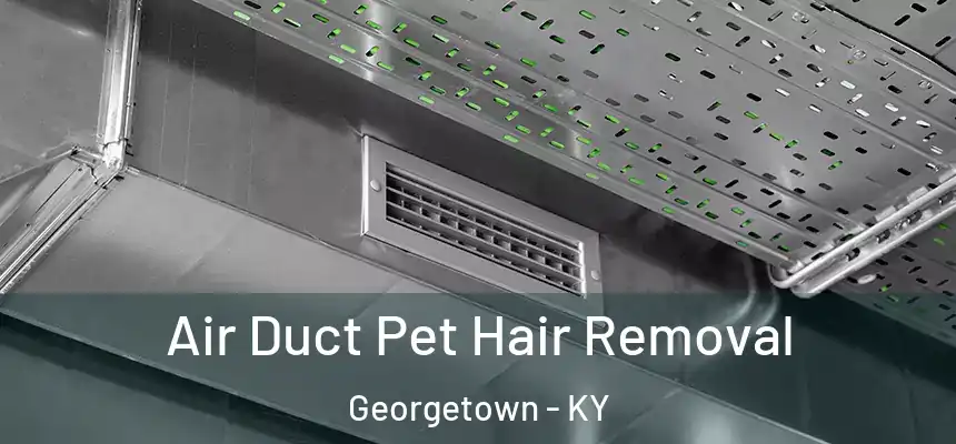Air Duct Pet Hair Removal Georgetown - KY