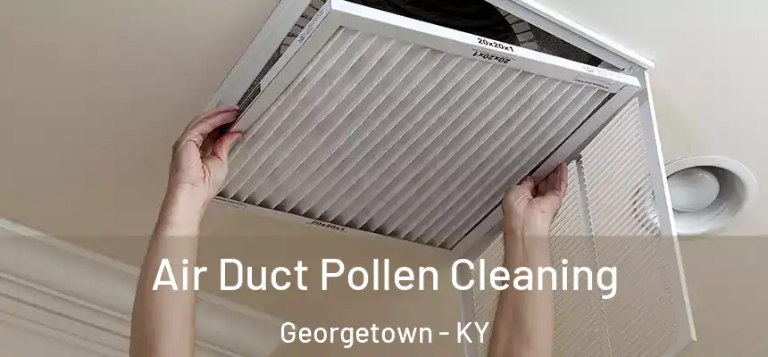  Air Duct Pollen Cleaning Georgetown - KY