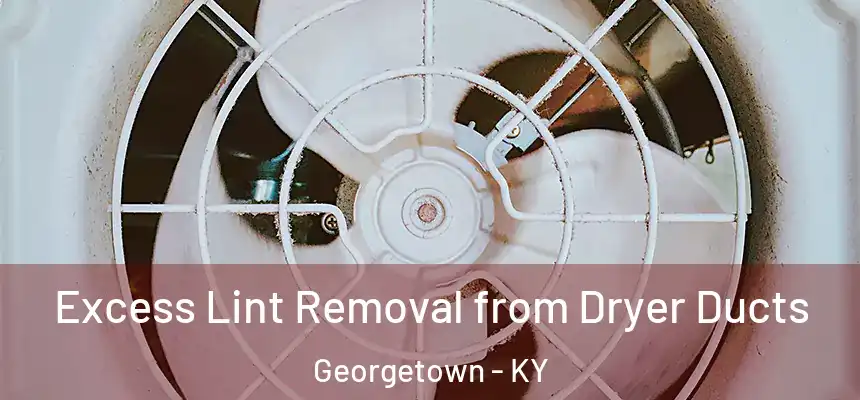 Excess Lint Removal from Dryer Ducts Georgetown - KY
