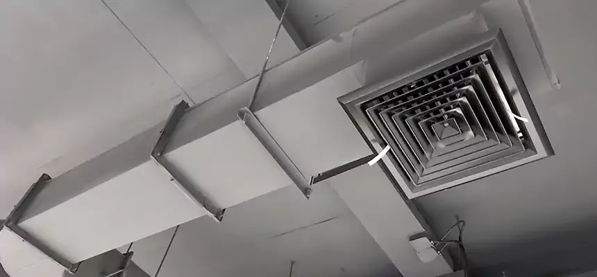 Our Pest Removal From Ducts Services in Georgetown, KY