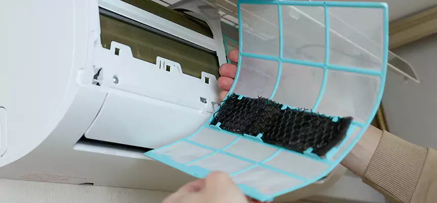 Gentle Ductwork Odor-Control Pet Dander Duct Cleaning in Georgetown, KY