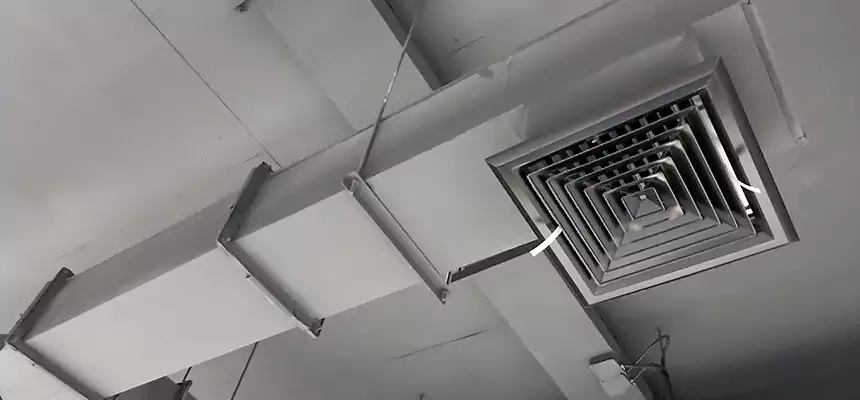 Our Rodent Droppings In Vents Services in Georgetown, KY