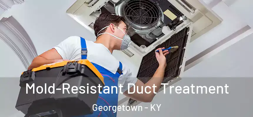  Mold-Resistant Duct Treatment Georgetown - KY