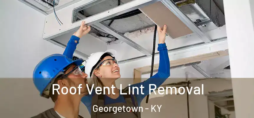 Roof Vent Lint Removal Georgetown - KY