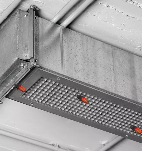 About Air Duct Cockroach Removal in Georgetown, KY