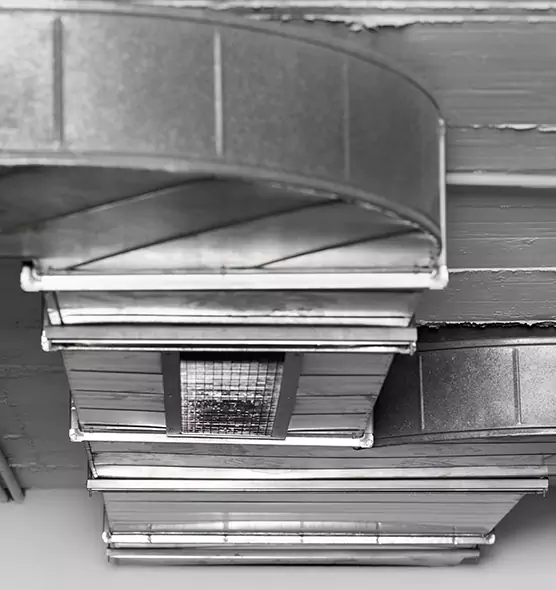 Professional Air Duct Pest Removal in Georgetown, KY