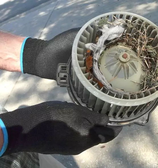 About Air Duct Rat Removal in Georgetown, KY