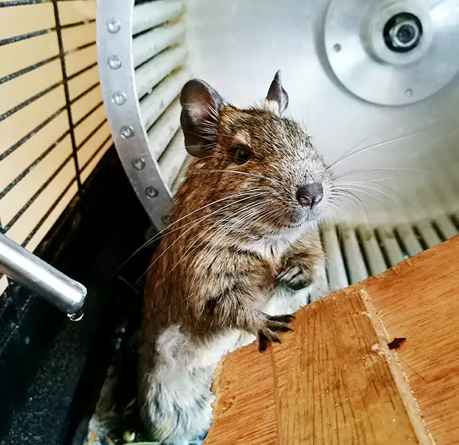 Why Homeowners & Businesses Trust Us Georgetown, KY