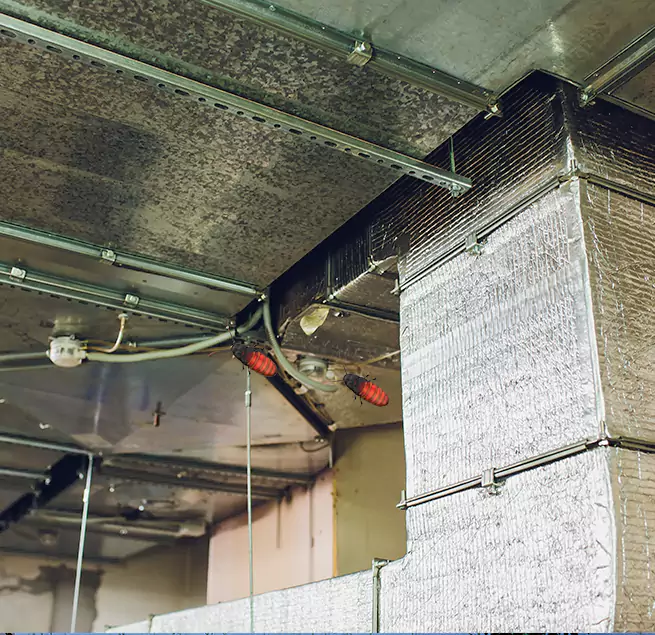 Why Homeowners & Businesses Trust Us Georgetown, KY?