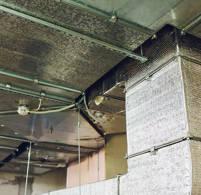 Why Homeowners & Businesses Trust Us in Georgetown, KY?